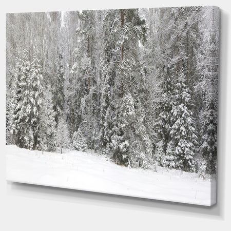 Foggy Winter Forest Panorama - Extra Large Landscape Canvas Art Print
