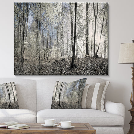 Dark Morning in Forest Panorama - Landscape Large Canvas Art Print