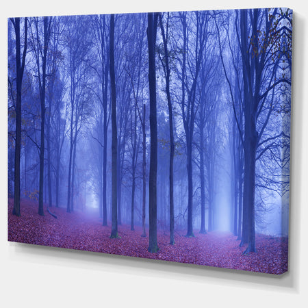 Two Paths in Foggy Blue Forest - Landscape Large Canvas Art Print