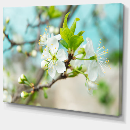 Beautiful Cherry Blossom n Spring - Modern Floral Large Canvas Art