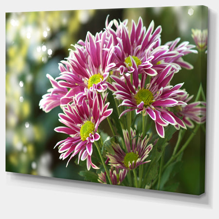 Purple Chrysanthemum Flower - Floral Canvas Wall Art