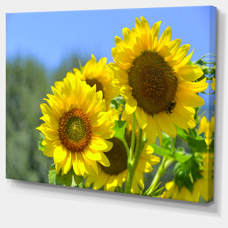 Beautiful Sunflowers View - Floral Canvas Wall Art