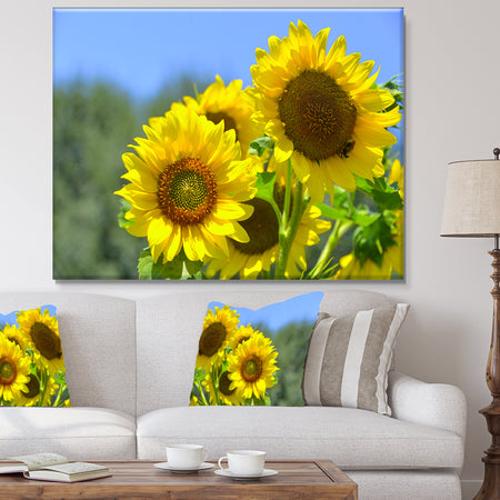 Beautiful Sunflowers View - Floral Canvas Wall Art