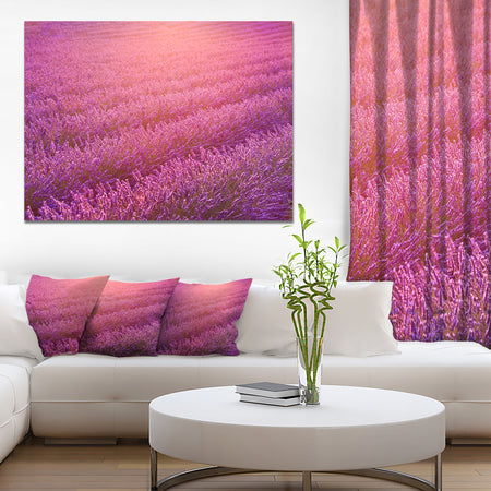 Lavender Field and Ray of Light - Floral Canvas Wall Art