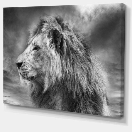 Grey Wild African Lion - Modern Animal Canvas Art