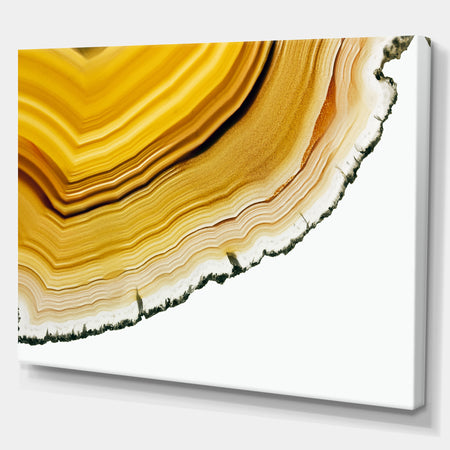 Precious Brown Agate - Stone Photographic on Wrapped Canvas