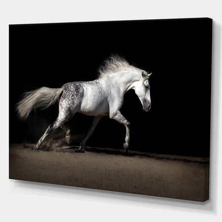 White horse in desert dust - Farmhouse Animals Photographic on wrapped Canvas