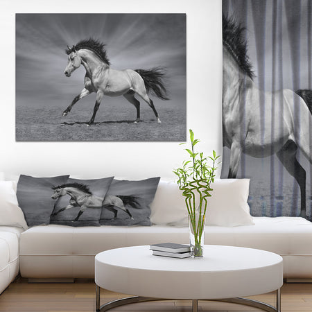 Chestnut horse in motion - Farmhouse Animals Photographic on wrapped Canvas