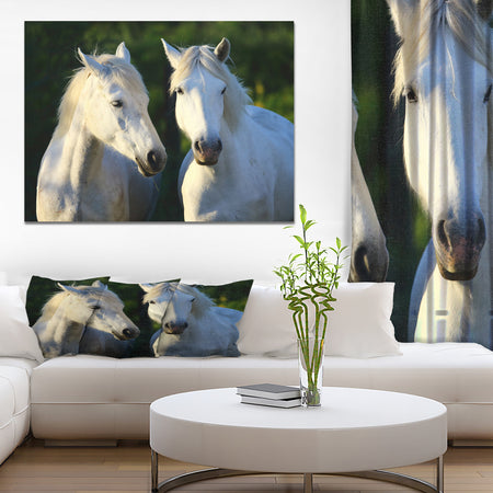 Portrait of gorgeous horses - Farmhouse Animals Photographic on wrapped Canvas