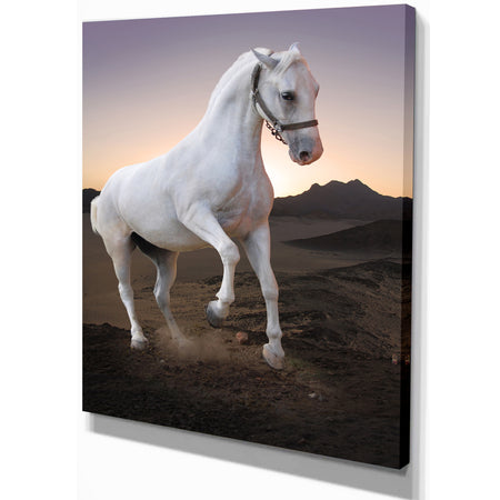 White horse in the desert - Farmhouse Animals Photographic on wrapped Canvas
