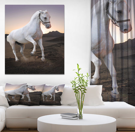 White horse in the desert - Farmhouse Animals Photographic on wrapped Canvas