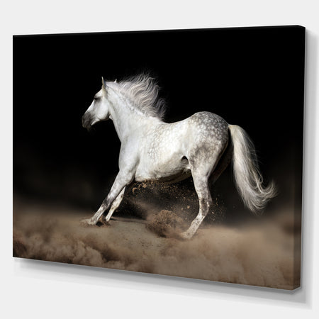 White horse with Long Mane in desert dust - Farmhouse Animals Photographic on wrapped Canvas