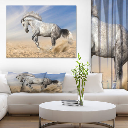 White Horse in Calm Sky - Farmhouse Animals Photographic on wrapped Canvas