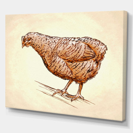 Mother Hen in Engrave Ink Draw - Farmhouse Animal Painting Print on Wrapped Canvas
