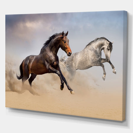 Two Horse Run in Desert at Cloudy Sky - Animals photographyPrint on Wrapped Canvas