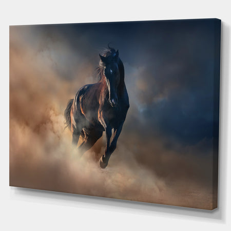 Black stallion horse - Animals photographyPrint on Wrapped Canvas