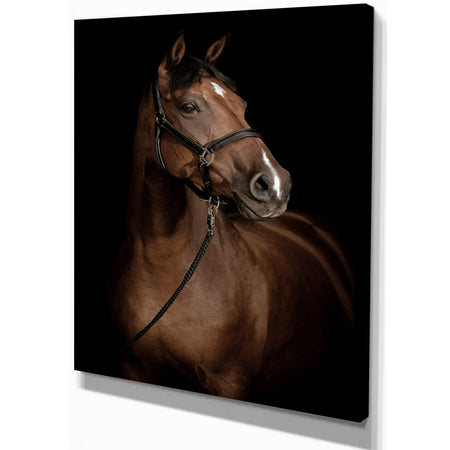 Horse Portrait - Animals photographyPrint on Wrapped Canvas