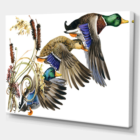 Three Flying Ducks in Colored illustration - Farmhouse Animal Painting Print on Wrapped Canvas