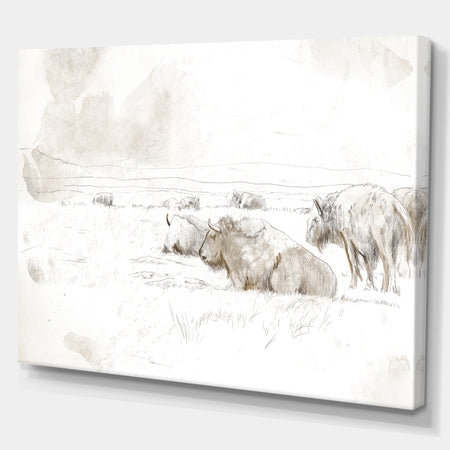 Wild Bison Buffalo Sketch - Farmhouse Animal Painting Print on Wrapped Canvas