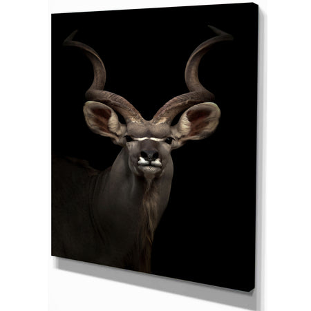Greater gudu Tiger In The Dark - Animals photography Print on Wrapped Canvas