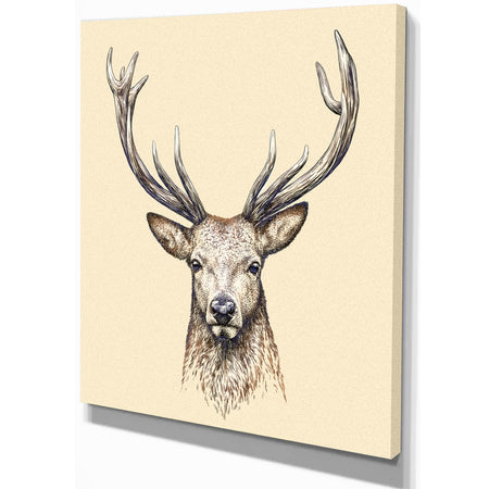 Engrave deer illustration - Sketch Animals Painting Print on Wrapped Canvas