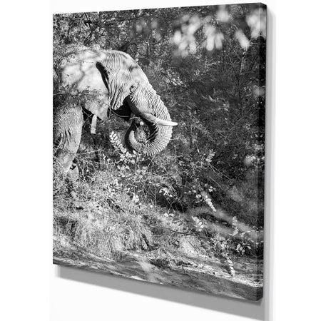 Black and white elephant - Africa Animals Painting Print on Wrapped Canvas