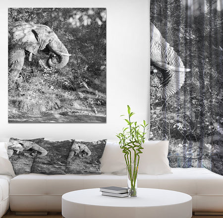 Black and white elephant - Africa Animals Painting Print on Wrapped Canvas