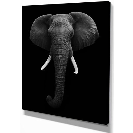 African Elephant - Africa Animals photography on Wrapped Canvas
