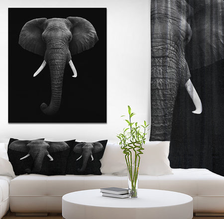 African Elephant - Africa Animals photography on Wrapped Canvas