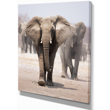 Elephant Herd - Africa Animals Photography on Wrapped Canvas