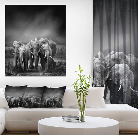 Group of Elephant in Black Background - Africa Animals photography on Wrapped Canvas