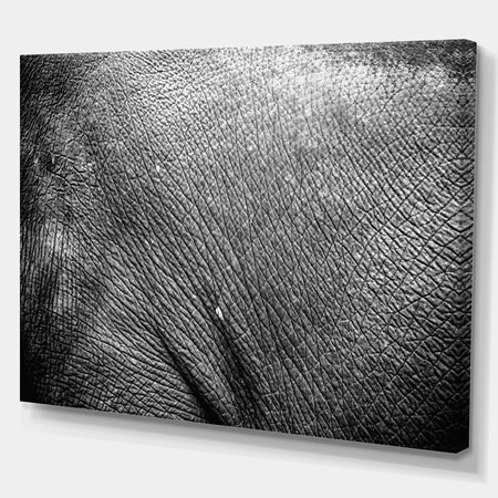 Asia Elephant Skin - Africa Animals Photography on Wrapped Canvas