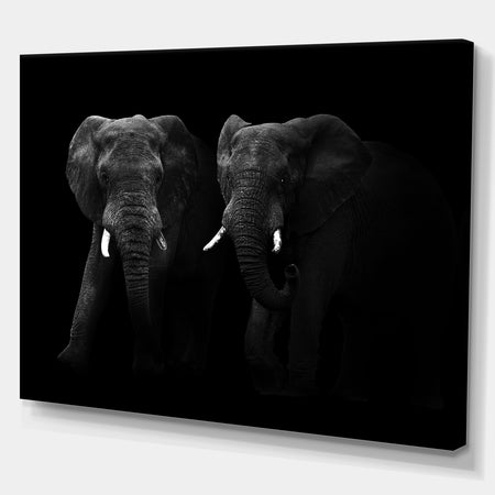 Two African Elephant Bulls - Africa Animals Photography on Wrapped Canvas