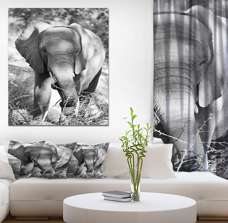 Elephant at Kruger National Park - Africa Animals Photography on Wrapped Canvas