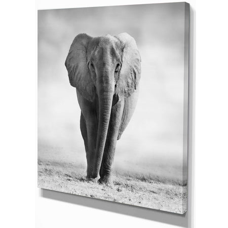 African Elephant in the Wild - Africa Animals Photography on Wrapped Canvas