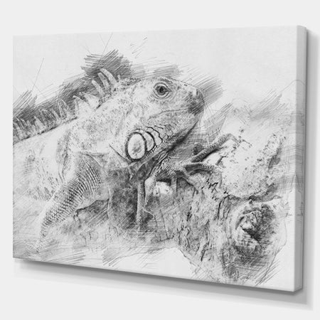 Black and White Iguana Sketch - Animals Painting Print on Wrapped Canvas