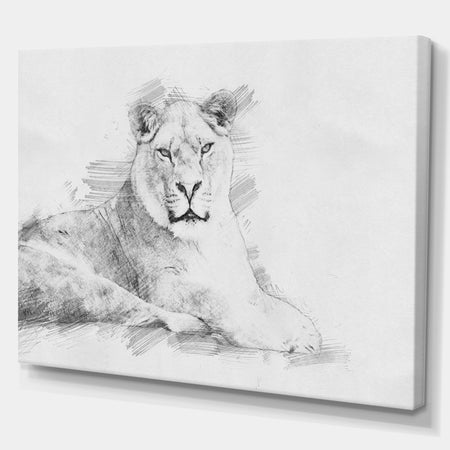 Black and White Lion Sketch - Animals Painting Print on Wrapped Canvas