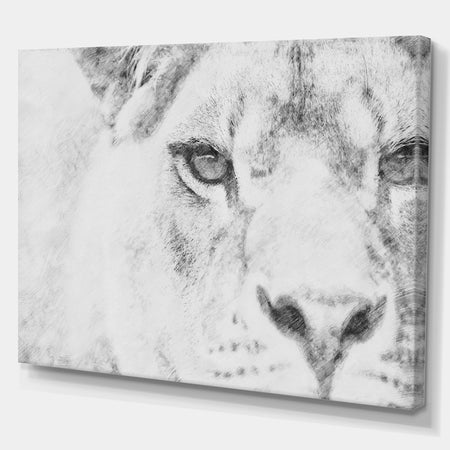 Black and White Lion Pencil Sketch - Animals Painting Print on Wrapped Canvas
