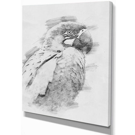Black and White Parrot Pencil Sketch - Animals Painting Print on Wrapped Canvas