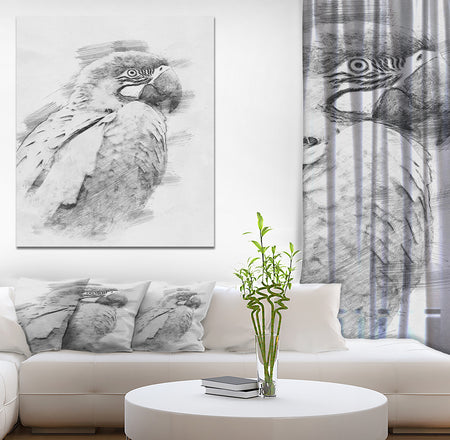 Black and White Parrot Pencil Sketch - Animals Painting Print on Wrapped Canvas
