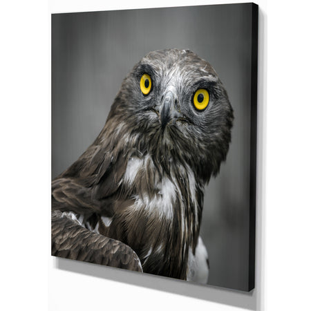 Own in Dark - Animals Painting Print on Wrapped Canvas