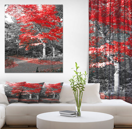 Red Fall Tree in Central Park - Floral photography on wrapped Canvas