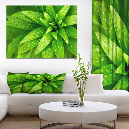 Wet Foliage - Floral photography on wrapped Canvas