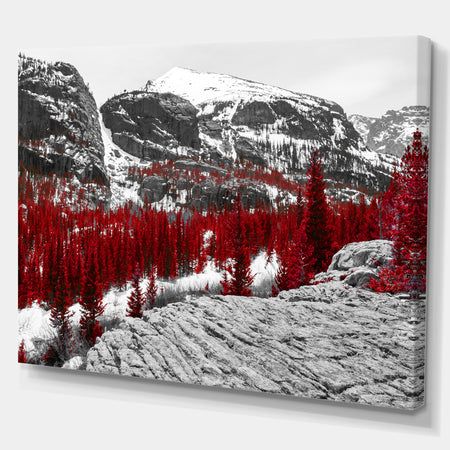 Red Forest in Colorado Rocky Mountains - Floral Landscapes Photographic on wrapped Canvas