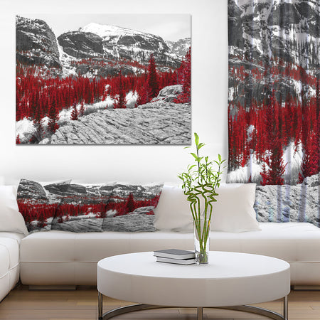 Red Forest in Colorado Rocky Mountains - Floral Landscapes Photographic on wrapped Canvas