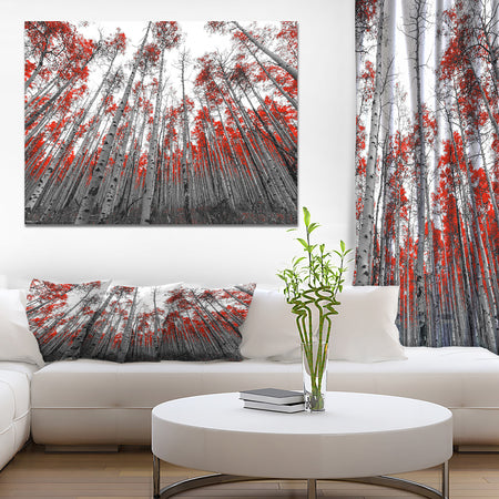 Red Leaf Trees in Tall Forest - Floral Landscapes Photographic on wrapped Canvas