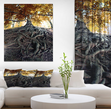 Old Tree in Czech Forest - Landscapes Contemporary on wrapped canvas