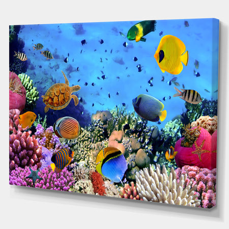 Coral Reef Coral Colony - Sea & Shore Nautical Photographic on wrapped Canvas