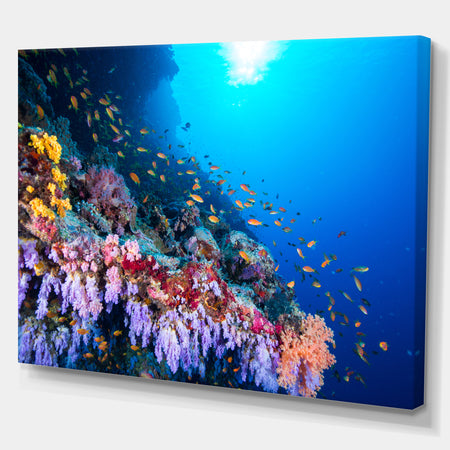 Tropical Colorful coral reef - Sea & Shore Nautical Photographic on wrapped Canvas