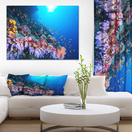 Tropical Colorful coral reef - Sea & Shore Nautical Photographic on wrapped Canvas